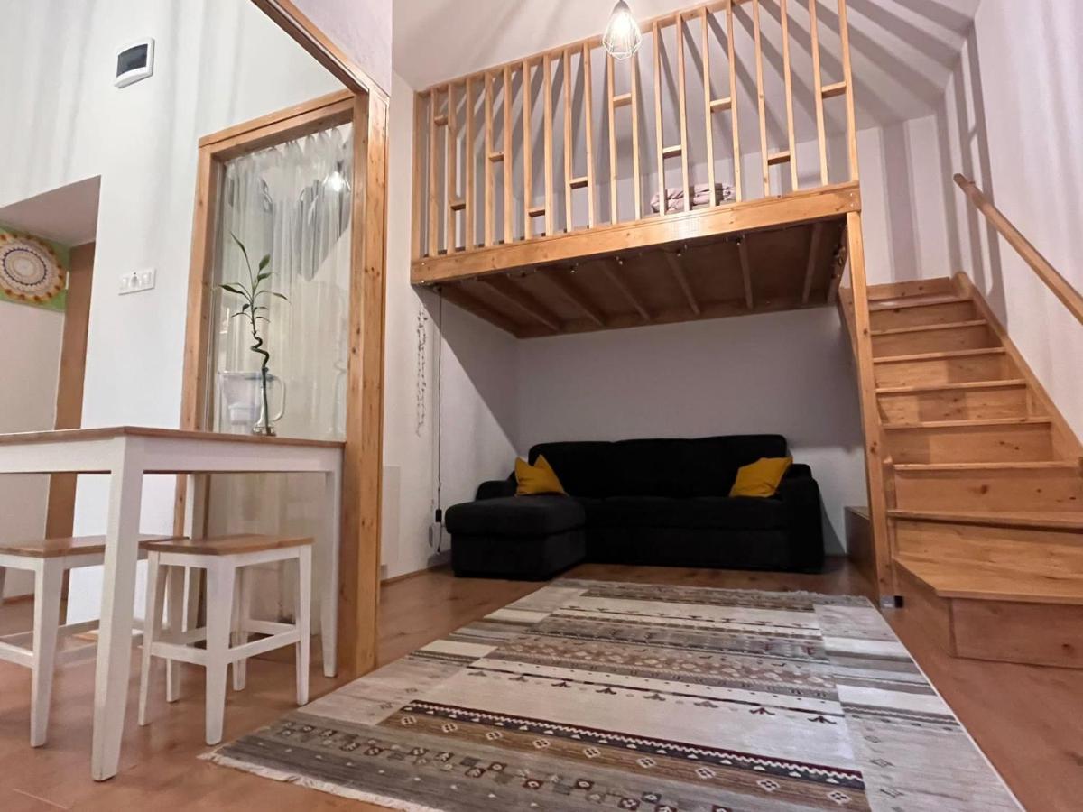 Downtown Apartment Timişoara Exteriör bild